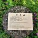 HELLOYOUNG 357g de th Pu-erh ancien biologique naturel chinois Enrichi en menthe indienne il offre un go t frais et rafra chissant - Buy Online on GoSupps.com