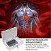 Quantum Response Magnet Analyzer - Handheld Subhealth Body Detector for Home & Office | Compatible with All Windows Systems - Buy Online on GoSupps.com