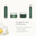 RITUALS The Ritual of Jing Foaming Shower Gel 200 ml - Floral Scent - Pack of 1 - Buy Online on GoSupps.com
