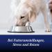 Canosept Intestinal Flora for Dogs - Probiotics & Prebiotics | 30 Tablets for Digestive Health & Support - Buy Online on GoSupps.com