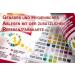 100 Pieces One+Step Urine Health Test - 11 Indicators Function Control & Reference Color Card - DUS-11 for Accurate Health Monitoring - Buy Online on GoSupps.com
