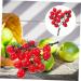 HOMSFOU 5pcs String Simulated Cherry Tomatoes Realistic Cherry Toys Simulation Cherry Tomatoes Artificial Tomatoes Faux Cypress Garland Fake Peaches Fake Cherries Child Pvc Fake Food Fruit Redx5pcs 18X16CMx5pcs - Buy Online on GoSupps.com