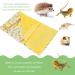 Bearded Dragon Bed Comfortable Removable Reptile Sleeping Bag with Small Pillow for Geckos (Pineapple + Yellow Quilt) - Buy Online on GoSupps.com