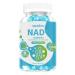 SXNWSN NAD Supplement NAD+ Gummies with Nicotinamide Riboside Trans-Resveratrol Quercetin - Anti-Aging Energy Support & Cellular Health Sugar-Free Blueberry Flavor 90 ct