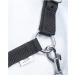 Buy RL24 Nylon Halter BASICLINE Black Pony - Durable & Stylish Equestrian Gear for International Shipping - Buy Online on GoSupps.com