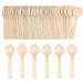 Disposable Wooden Spoons 50 pcs Wooden Cutlery Spoon Compostable for Ice Cream Cake Dessert Spoons (3.94 inches)