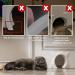 InTrans Interior Cat Door - Cute Pet Door for Cats up to 21 lbs (White) - Buy Online on GoSupps.com