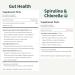 Snap Supplements Gut Health & Organic Spirulina Chlorella Bundle Probiotic + Digestive Enzymes + Greens Supports Digestion Detox Energy & Immune Health 50 + 120 Vegetarian Capsules (1 Month Supply) Gut Health + Spirulina  - Buy Online on GoSupps.com