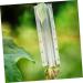 POPETPOP 4pcs Shaped Growth Mold Ginseng Transparent Fruit Shaping Mold Acrylic Small Fruit Vegetable - Buy Online on GoSupps.com