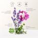 Daily Hydration Shower Gel - Exfoliating Body Wash with Vitamin E & C | Cruelty-Free Lavender - 10.14 oz - Buy Online on GoSupps.com