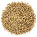 Organic Hulled Barley 2 Pounds - Non-GMO, 100% Whole Grain, Kosher, Vegan - High Fiber for Brewing & Cooking. Product of USA - 2lb Pack - Buy Online on GoSupps.com