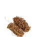 Ficus Simplicissima Root 200g Wu Zhi Mao Tao