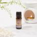 Organic Patchouli Essential Oil 10ml - 100% Pure Therapeutic Grade for Aromatherapy, Massage, Diffusers & Bath | Free E-Book Included | Pogostemon Cablin - Buy Online on GoSupps.com