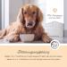 Annimally Salmon Oil for Dogs 250ml - Rich in Omega 3 & 6 | Cold-Pressed Pure & Natural | Ideal for Dogs & Cats - Made in Germany - Buy Online on GoSupps.com