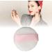 Makeup Powder Puff Small Portable Face Powder Puff 2.4 Inch Diameter Ribbon Band Raised Pile for Salon - Buy Online on GoSupps.com