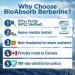 Berberine 500mg Supplement 97% Tested Purity Berberine Supplements Sourced From Non-GMO Berberis Aristata (120 Veggie Caps of Berberine HCL) 120 count (Pack of 1) - Buy Online on GoSupps.com