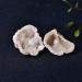 Natural Crystal Rough WTHOME 1PC Natural Crystal Agate Geode Cutting Crystal Cluster Stone Rock Specimen Quartz DIY Home Decoration 3-5cm Natural Agate - Buy Online on GoSupps.com