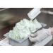 Sodium Citrate (4 oz) - Pure Original Preservative & Emulsifier for Molecular Gastronomy - Buy Online on GoSupps.com