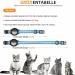 Reflective GPS Cat Neck Band with Apple Airtag Holder - Adjustable Safety Tracker for Cats & Small Dogs (Blue) - Buy Online on GoSupps.com