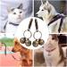 KREDHONG 2 Pairs Extra Loud Cat & Dog Bells Pet Tracker Bells Dog Bells Durable Brass Bells for Pets Collar Charm Pendant Bells for Dogs Cats Harness Training - Buy Online on GoSupps.com
