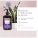 ARGANICARE - Fortifying Shampoo with Prickly Pear and Vitamin E - Hair Care - 400 ml - Buy Online on GoSupps.com