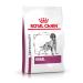 Royal Canin Veterinary Renal | 2 kg | Complete dietetic food for adult dogs of all sizes and breeds | Low in phosphorus | To support renal function