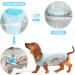 Jodsen Dog Cooling Vest - Summer Breathable Mesh Jacket for Small to Medium Dogs (3XL Blue) - Comfortable & Reflective Design - Buy Online on GoSupps.com