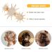 Beaupretty Hair Accessories Hair Barrettes Hair Clips Rhinestone Hair Clip Women Hair Clip Rhinestone Clip for Hair Girl Hair Clip Small Hair Clip European and American Miss Alloy Headgear - Buy Online on GoSupps.com