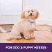 Urine OFF Dog Stain Remover 3.78L - Pet Urine & Odor Neutralizer - Deep Cleaning Puppy Stain Odor Remover - Buy Online on GoSupps.com