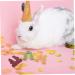 BUGUUYO Rabbit Snacks Guinea Pig Treats Rabbit Treats for Bunnies Bunny Cage Accessories Fiber - Buy Online on GoSupps.com