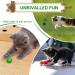 Rosaui 8-Pack Felt Cat Toys - 100% Sheep Wool Interactive Game Balls - Natural Cat Balls - Buy Online on GoSupps.com