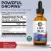 KAL Vitamin B6 B12 Folic Acid DropIns Liquid Supplement - Heart Health Support, Energy Boost - Methyl B12, Folate - Natural Berry Flavor - 59 Servings - 2oz - Buy Online on GoSupps.com