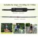 Pecute Jogging Leash for Large & Medium Dogs | Elastic Running Dog Leash with Belly Belt & Belt Bag | Durable Up to 100kg - Perfect for Jogging & Running - Buy Online on GoSupps.com