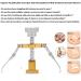 Ingrown Toenail Treatment Kit: Professional Toe Nail Recovery Tool for Correction & Trimming - Buy Online on GoSupps.com