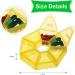 2 Pack Portable Travel Pill Box - Weekly Organizer for Vitamins & Supplements (Yellow/Blue) - Ideal for Travel - Buy Online on GoSupps.com