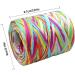 Colored Paper String Raffia Ribbon - 2 Rolls, 160 Meters/524 Feet, 6 Colors - Perfect for Gift Wrapping, DIY Crafts, and Party Decor - Buy Online on GoSupps.com