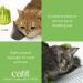 Shop Catit Wellness Center for Cats - Multi-Coloured 1 Pack | International Shipping Available - Buy Online on GoSupps.com