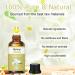 Floral Essential Oils Set - 3 x 30ml Premium Aromatherapy Scents for Diffusers, Home and Skin Care - Buy Online on GoSupps.com
