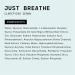 Just Breathe Clarifying Facial Serum - Vegan Acne Serum (1 fl oz) - Buy Online on GoSupps.com