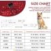 Shop Unique Style Paws Dog Collars - Adjustable Bow Tie Collars for Small Medium Large Dogs | XS-XL L RD - International Shipping Available! - Buy Online on GoSupps.com