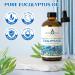 EVOKE OCCU Vetiver Essential Oil and Eucalyptus Essential Oil - 4 Fl Oz - Buy Online on GoSupps.com