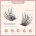 Gerbera-D-12mm WineRozi Lash Extension Clusters - 48 Lightweight Handmade Wispy Individual Lashes - D Curl False Eyelashes - 12mm - 48 Pcs - Buy Online on GoSupps.com