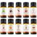 Holiday Collection Therapeutic-Grade Aromatherapy Essential Oil Set - 10-Piece | Premium Essential Oils for Relaxation & Wellness - Buy Online on GoSupps.com