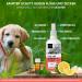 Animigo Flea Spray for Cats & Dogs - Natural Insecticide-Free Remedy for Fleas Ticks & Lice - 500ml Peppermint & Castor Oil Protection for Home & Furniture - Buy Online on GoSupps.com
