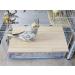 Natural Wooden Bird Perch Stand for Small Animals - 13.6 x 7.9 Inches - Buy Online on GoSupps.com