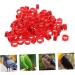 Amosfun 100 Pcs Pigeon Anklet Plastic Ducks Pigeons Ring Bands Pigeon Identification Ring Chick Baby Amulet 1.3X1.3CM Red - Buy Online on GoSupps.com