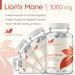 ClearFormulas Lions Mane Mushroom Capsules - Non GMO, Gluten Free (120 Capsules) - Buy Online on GoSupps.com