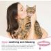 Neuwehe Cat Dishes & Leash Set - Adjustable Cat Harness & Tableware for Cats and Small Dogs (L Pink) | Leak-Proof & Durable - Buy Online on GoSupps.com