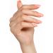 Bluesky Gel Nail Polish Tulip Lover Mini SS2008 Pink Coral Long Lasting Chip Resistant 5 ml Requires Drying Under UV LED Lamp Pink Coral 5 ml (Pack of 1) - Buy Online on GoSupps.com