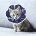 Cobee Soft Cat Cone Collar Protective Cute Small Cat Recovery Collar Adjustable Fasteners Collars for Kittens Cats E-Collars After Surgery Protective Wound Healing Fit 6.3"-9" Neck Circumference Planet - Buy Online on GoSupps.com